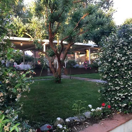 Del Pesce Briaco, Han/Misafirhane 3*